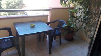 B&B Agave