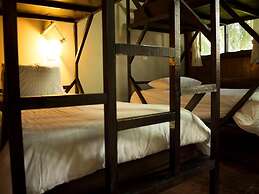 Jungle Gym & Eco Lodge - Hostel