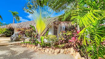 Paradiso del Caribe