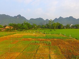 Jungle Boss Homestay