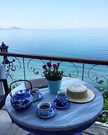 Hotel Mola
