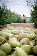 De Fruithoeve