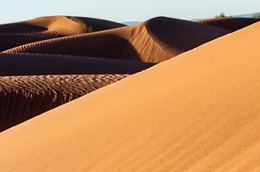 Desert Bivouac