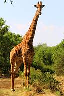 OuKlip Game Lodge
