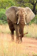 OuKlip Game Lodge