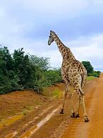 OuKlip Game Lodge