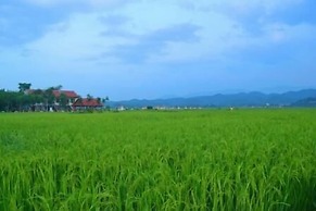 Sy's Homestay