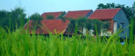 Sy's Homestay