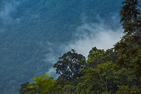 After the Rains