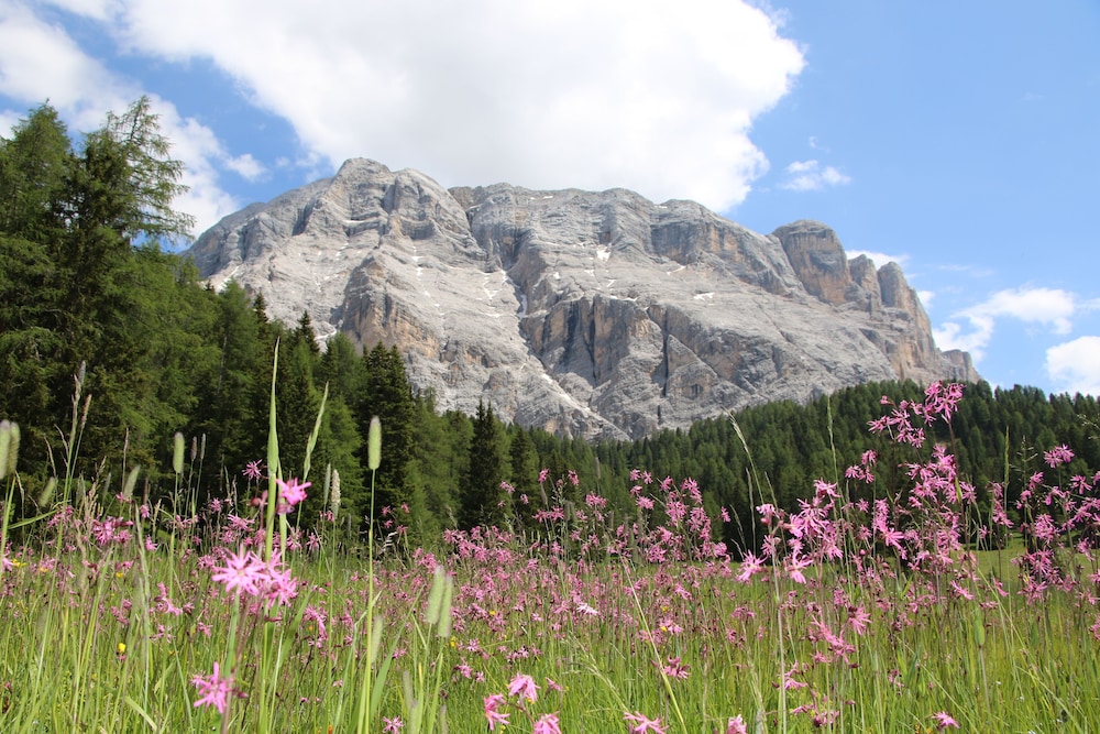 Hotel Alpenrose