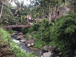 Wina Ubud B&B