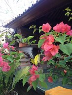 Wina Ubud B&B