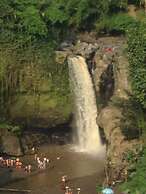 Wina Ubud B&B