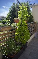 B&b dai Carari