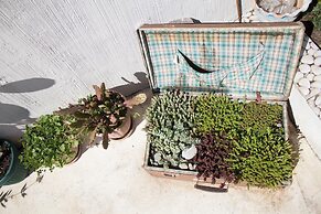 Terrace Garden