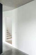 Dimensions M