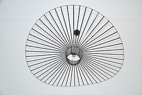 Dimensions M