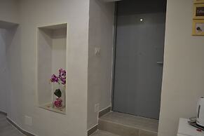 Bassetto 013
