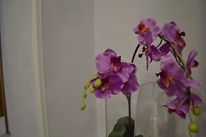 Bassetto 013