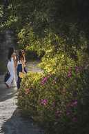 Tenuta Olive Alive