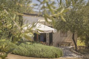 Tenuta Olive Alive