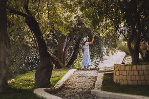 Tenuta Olive Alive