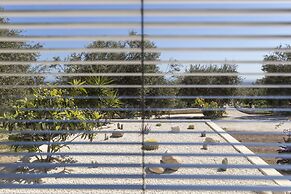 Tenuta Olive Alive