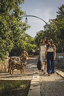 Tenuta Olive Alive