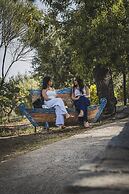Tenuta Olive Alive