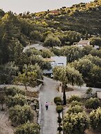 Tenuta Olive Alive