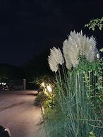 Le stanze di bacco