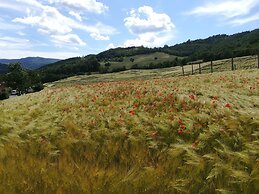 La Cartiera dei Benandanti