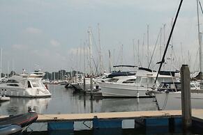 The Mayflower