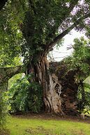Hacienda Acamilpa