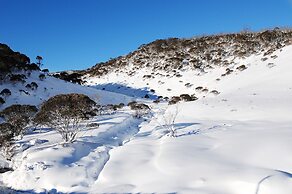 Powder 2a