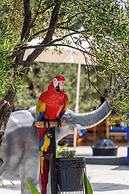 SİMLARDA AQUAPARK OTEL