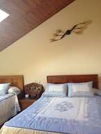 Hostal Tribal