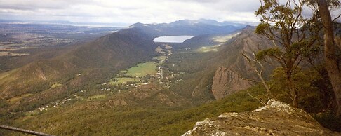 Bushland