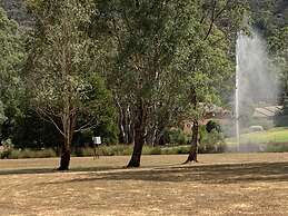 Bushland
