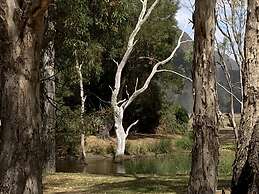 Bushland
