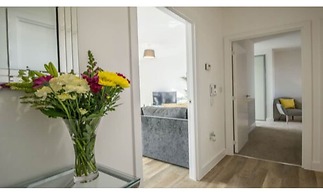 Tailored Stays - De Havilland House