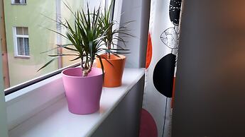 Apartamenty Sedinum