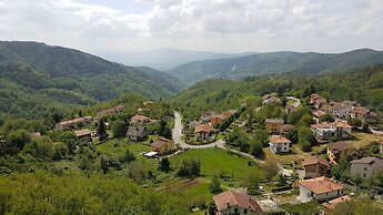 Amelia Dream View