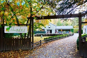 Shades of Arrowtown