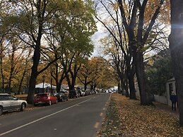 Shades of Arrowtown