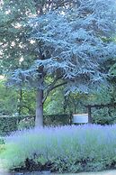 Shades of Arrowtown