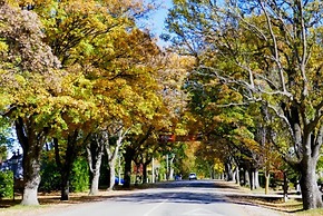 Shades of Arrowtown