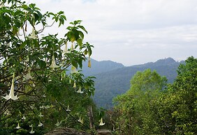 Phu Mok Camp