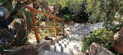 La Suite di Segesta