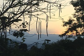 Khaoyai Nature Retreat